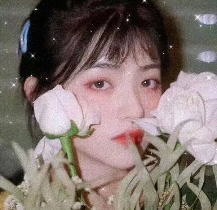 柳绿花红