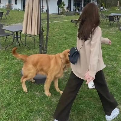 娜妲莉的情人