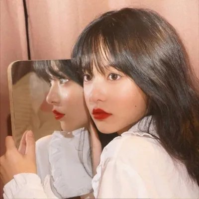 白鲸奇遇记