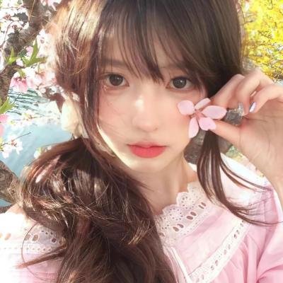 追羊孖宝